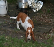 July4 2007 007